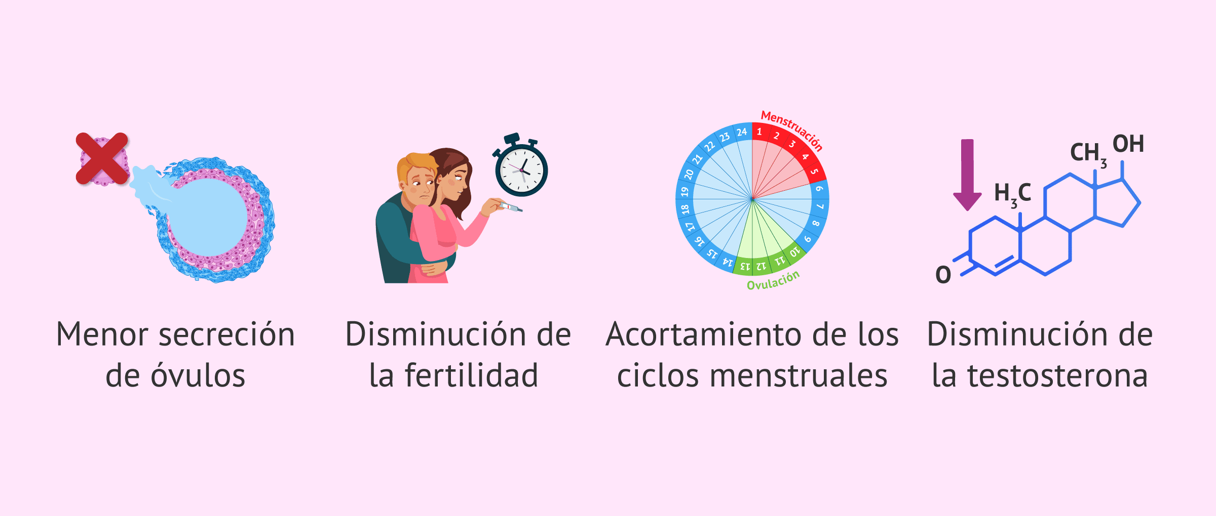 Imagen: Cambios en el organismo durante la perimenopausia