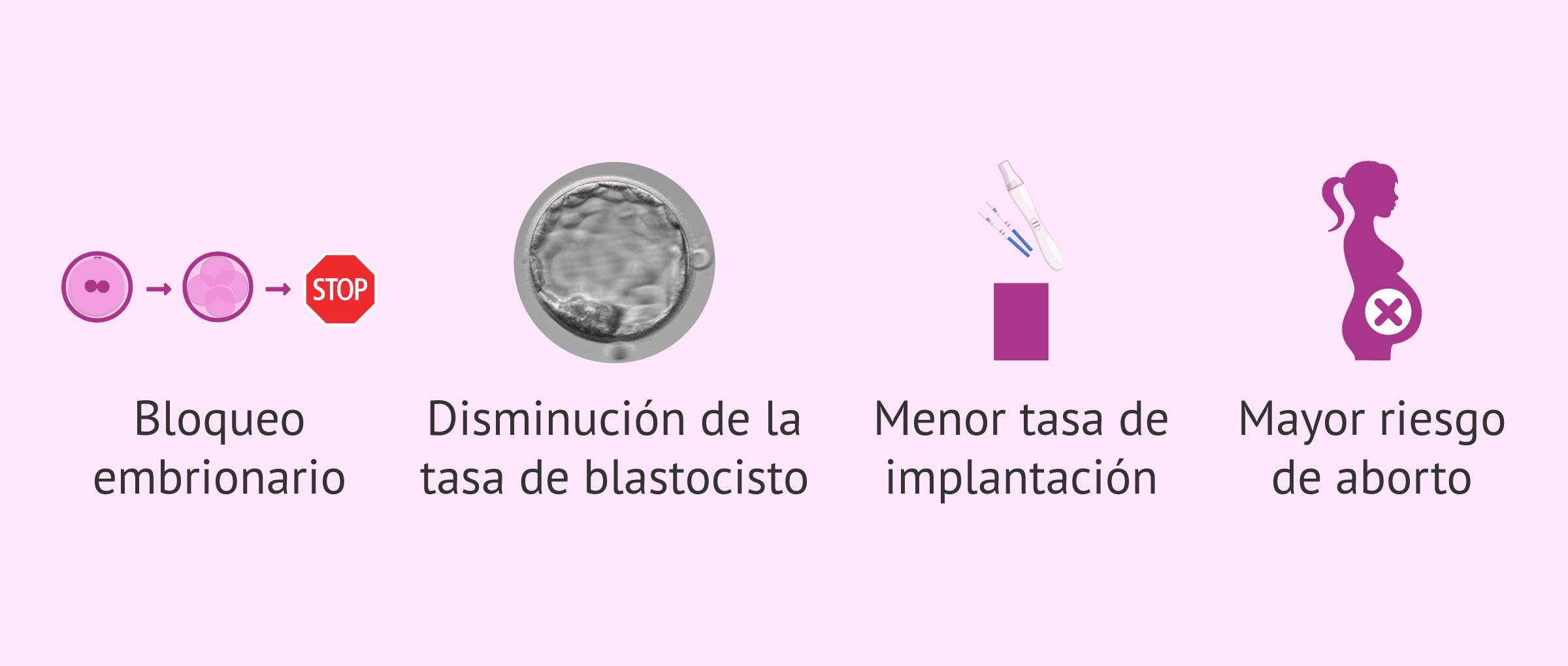 Imagen: Efectos de la elevada fragmentación espermática