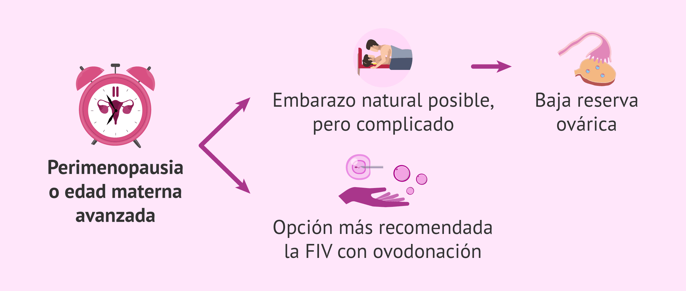 Imagen: Posibilidad de embarazo en la perimenopausia