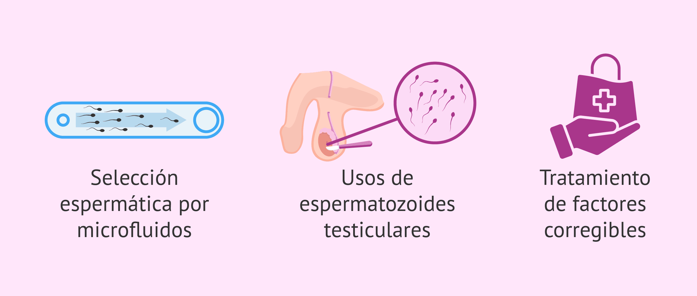 Imagen: Opciones para seleccionar espermatozoides