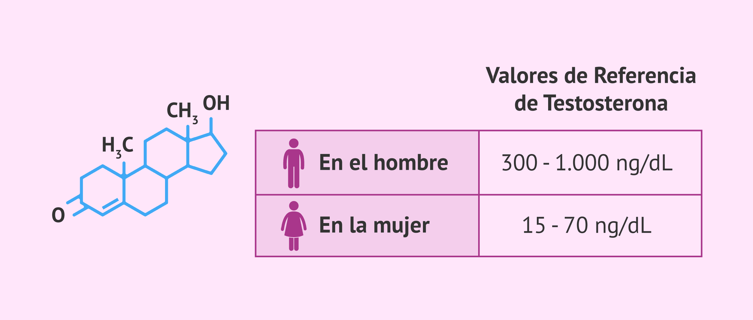 Imagen: Niveles normales de testosterona en sangre