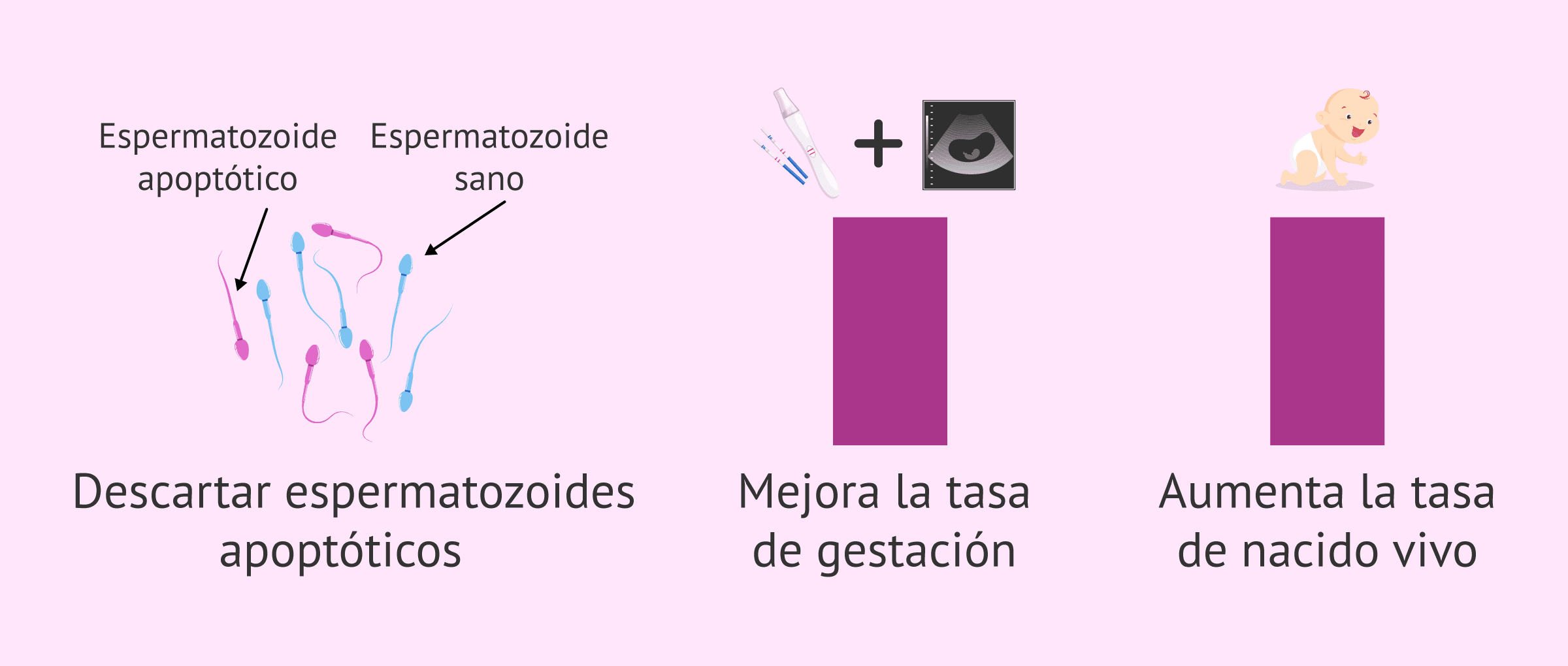 Imagen: Beneficios de realizar la técnica de MACS
