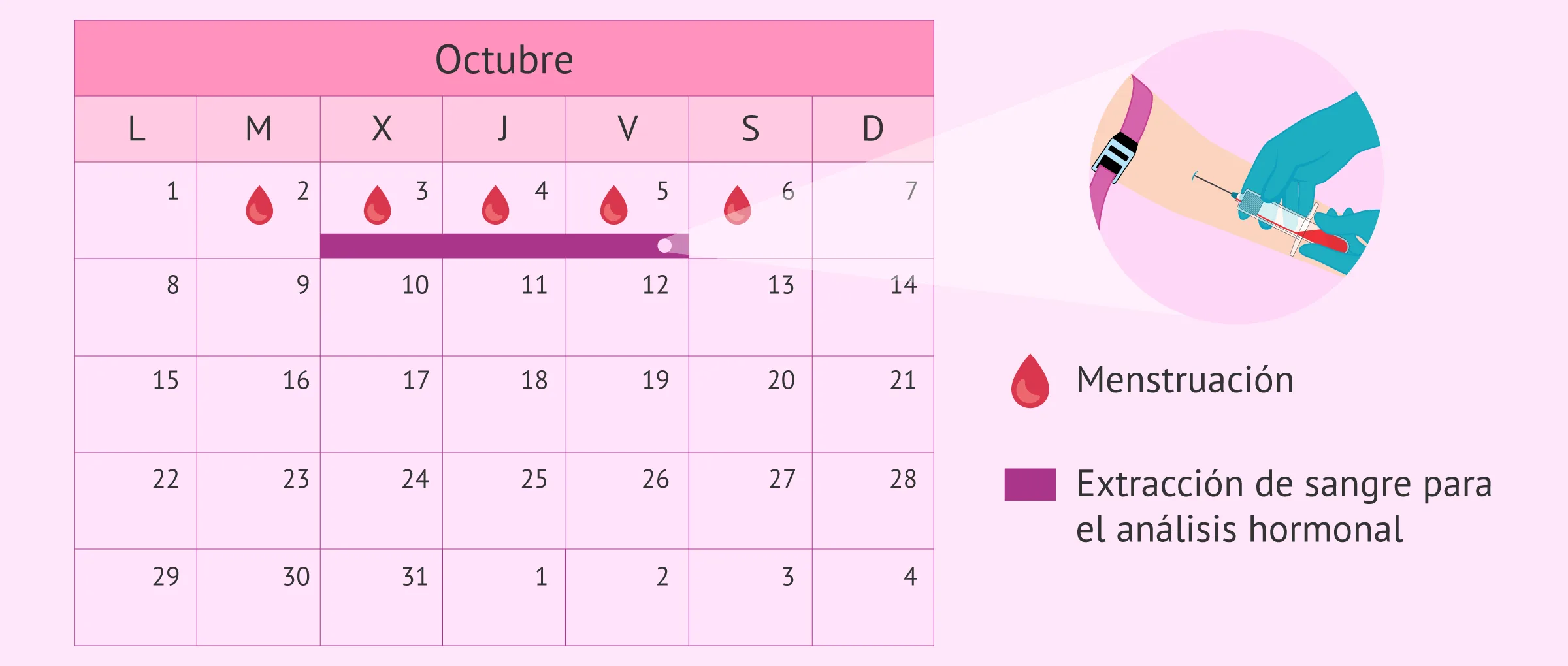 Imagen: ¿Cuándo realizar el análisis hormonal?