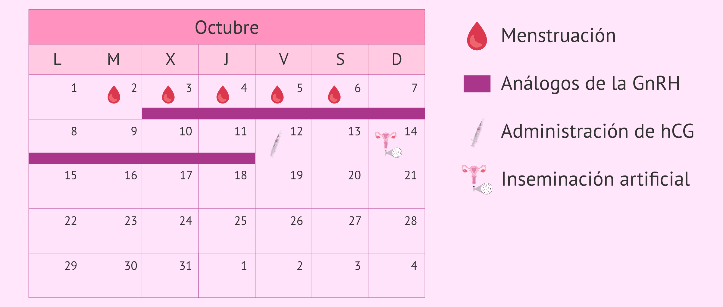 Imagen: Calendario de estimulación ovárica para la IA