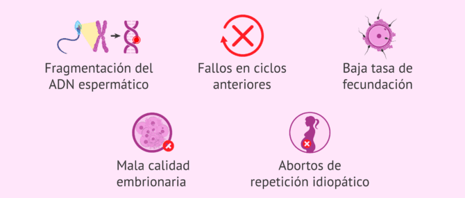 Imagen: Indicaciones técnica MACS