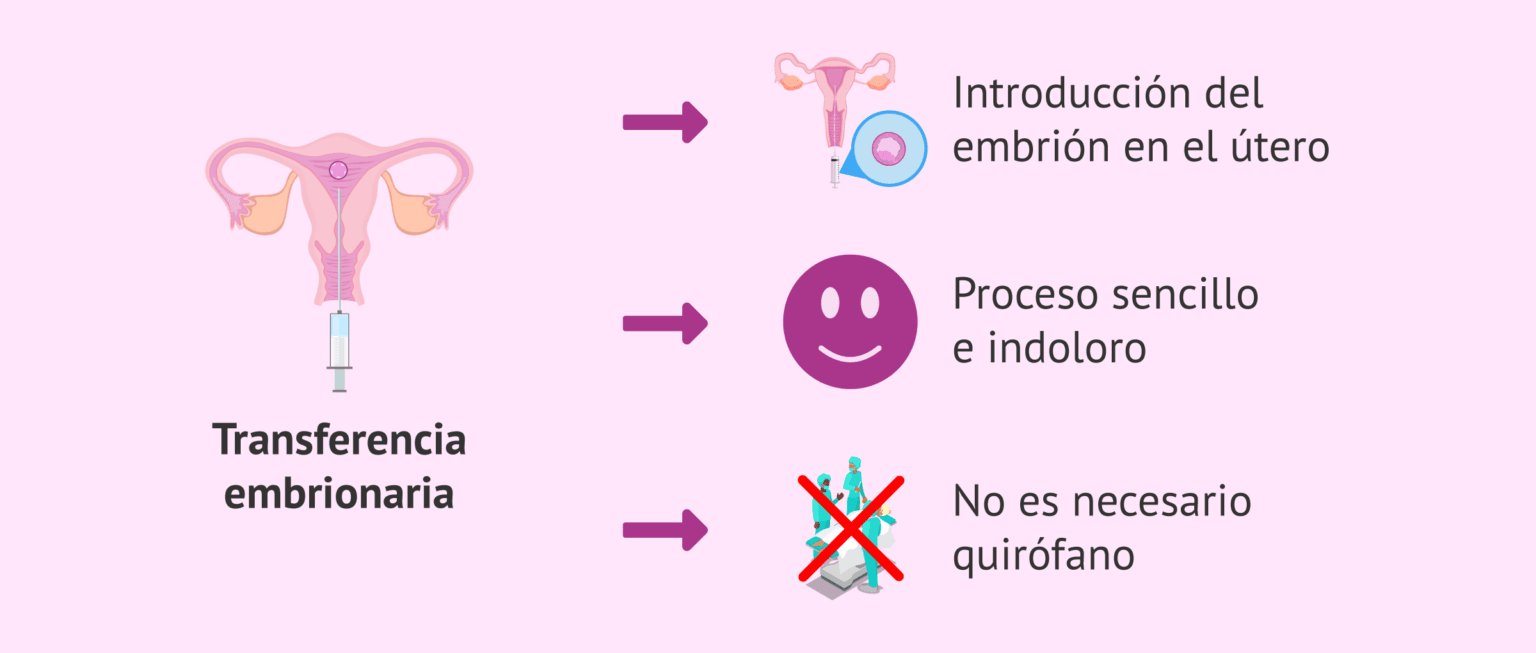 Características de la transferencia embrionaria