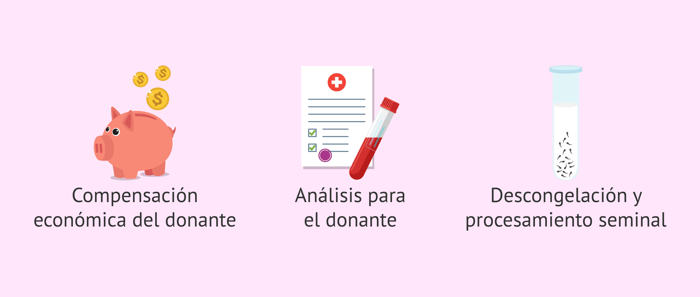 Imagen: Servicios incluidos en el coste de la IAD