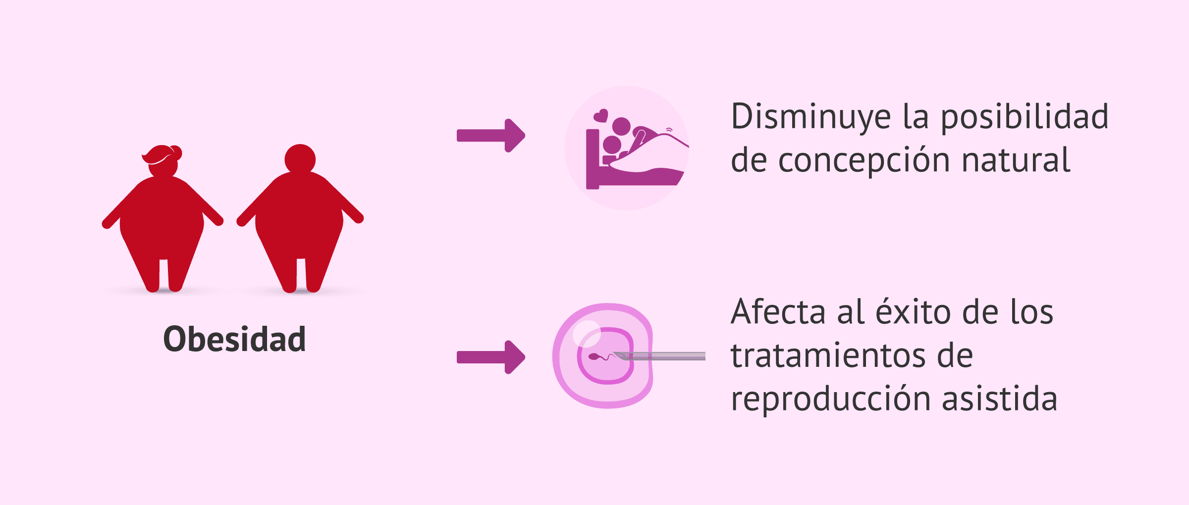Imagen: Efectos de la obesidad en la reproducción