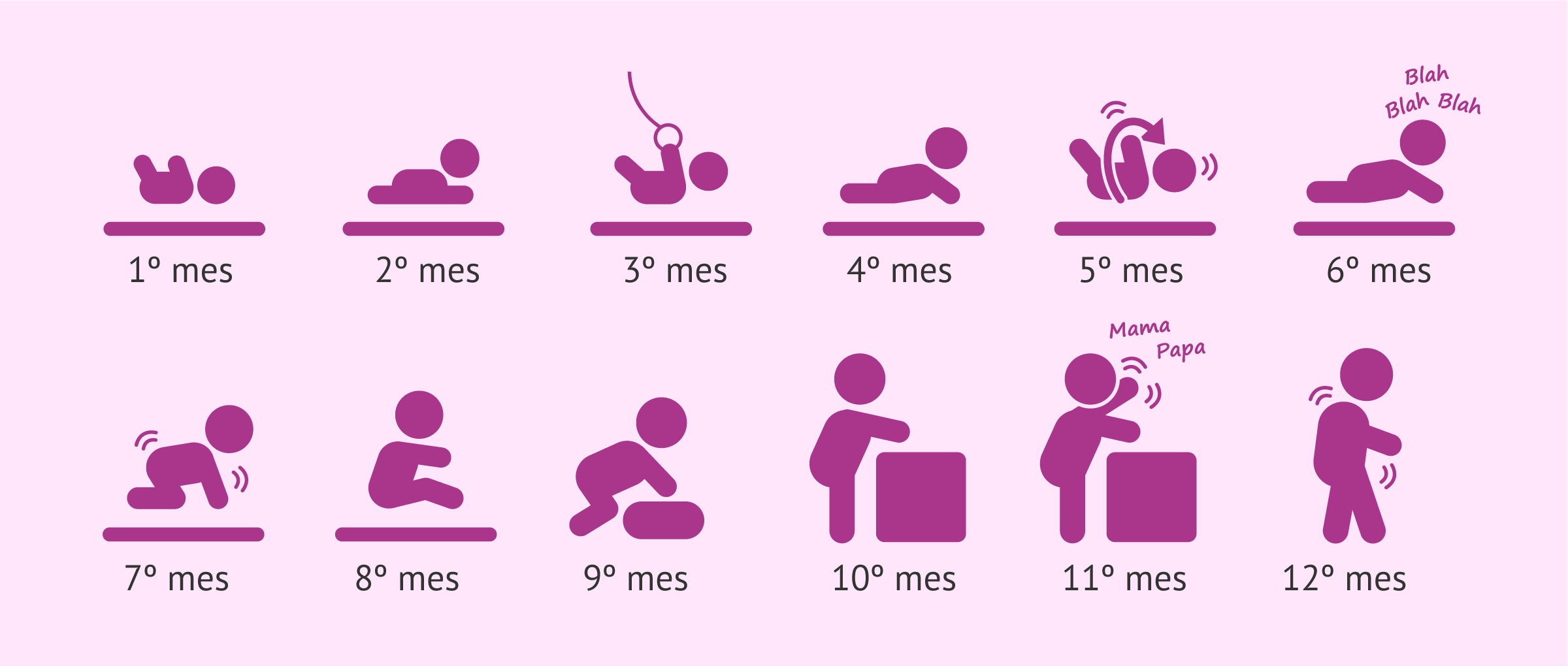 Desarrollo del bebé