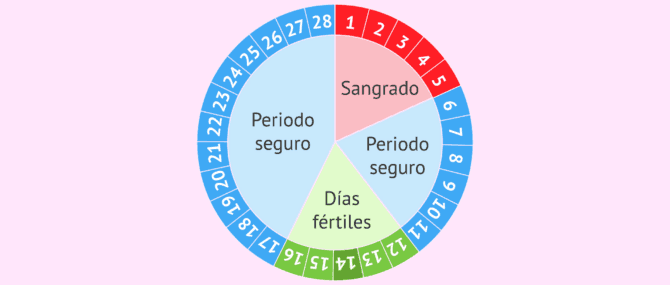 Imagen: Método Ogino: controlar el ciclo menstrual