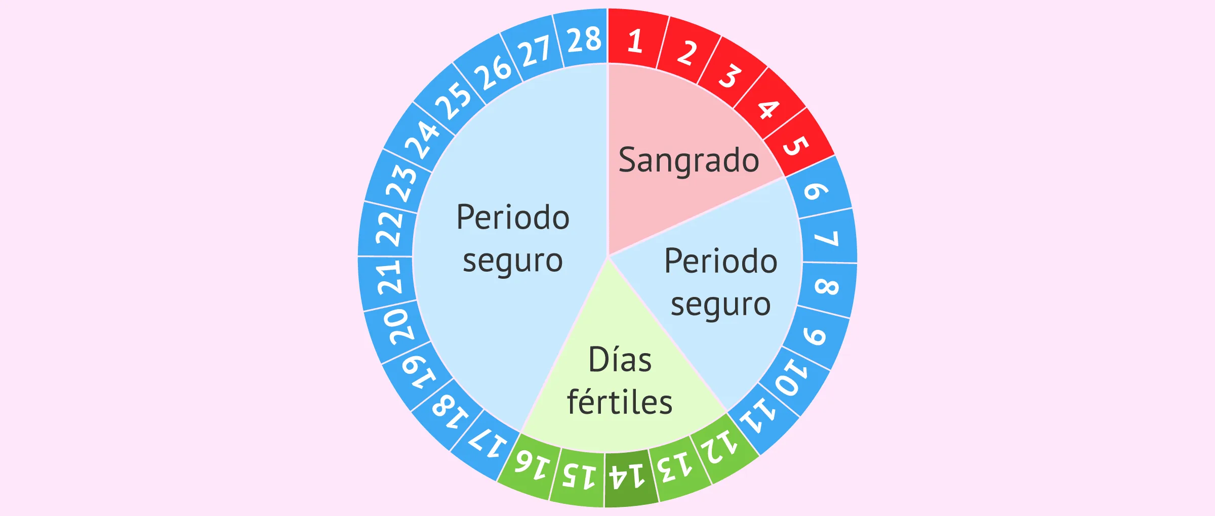Método Ogino: controlar el ciclo menstrual