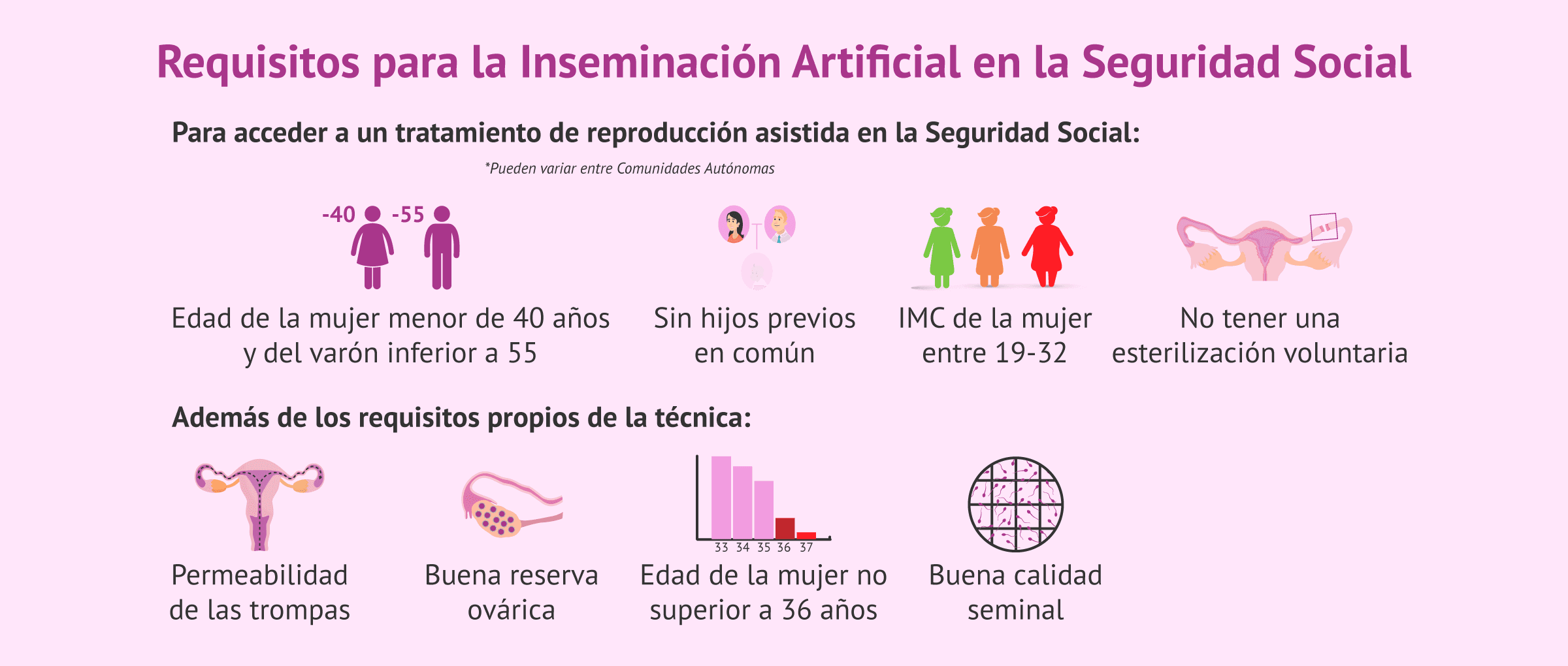 Imagen: Requisitos para una inseminación artificial en la Seguridad Social