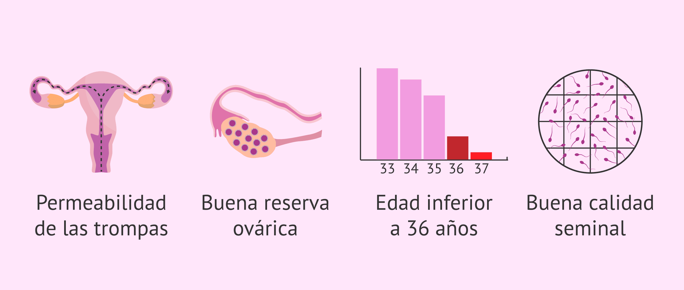 ¿Cuáles son los requisitos para la inseminación artificial intrauterina?