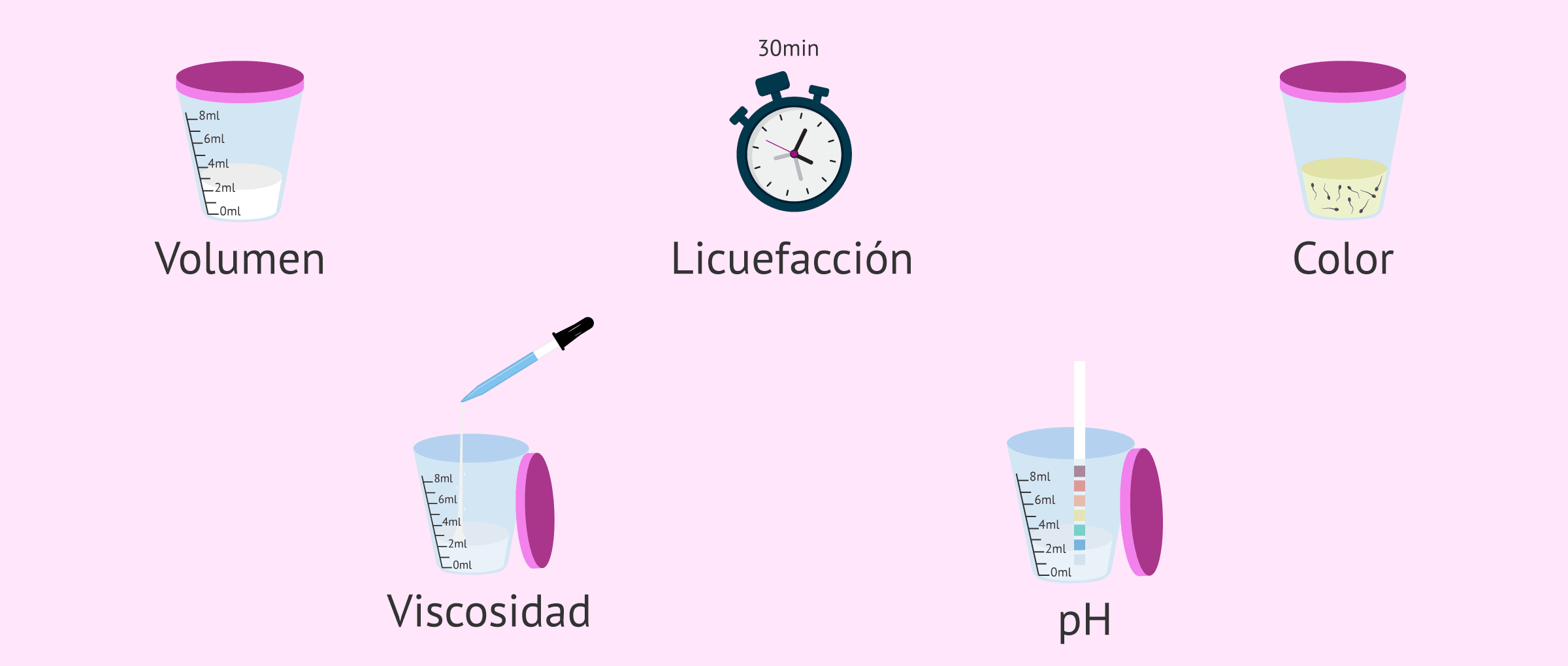 Imagen: Valores de referencia seminales de la OMS