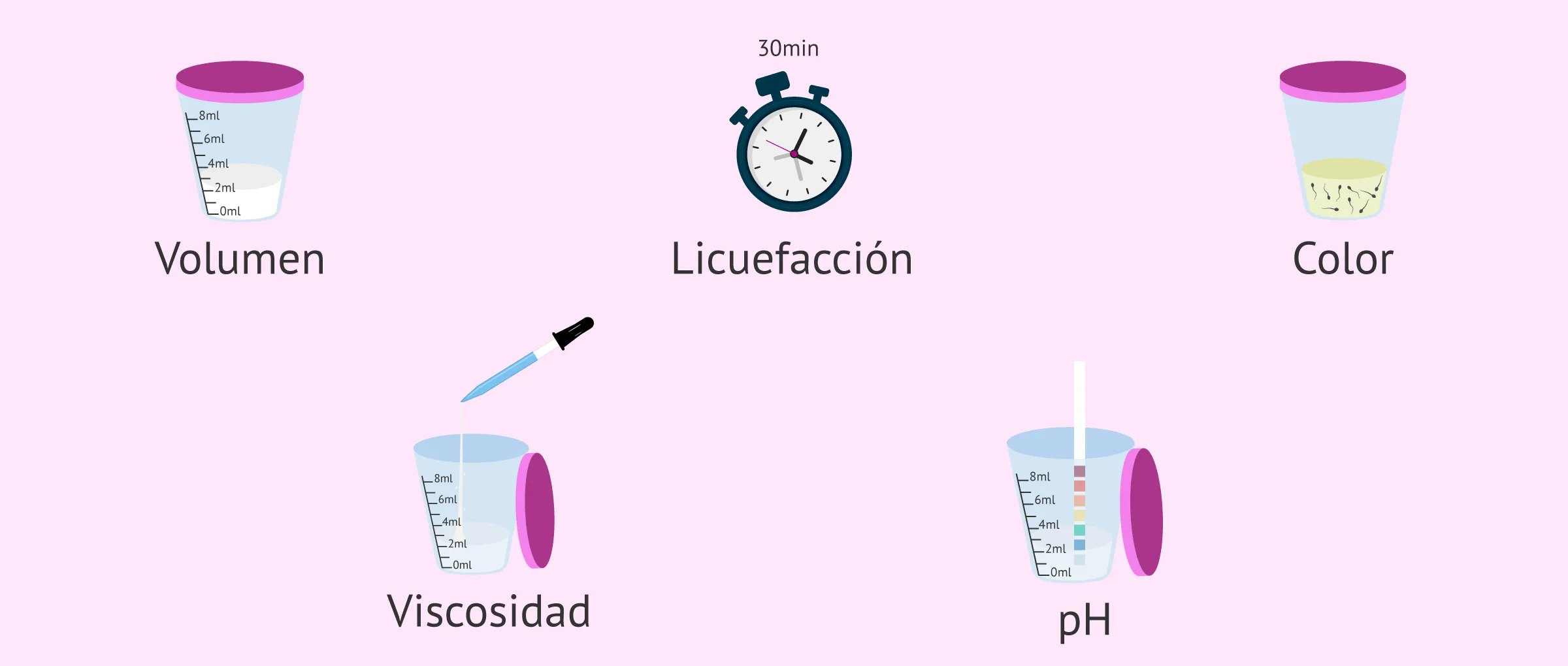 Maxsus Trans Garantli kran gildiraklari Porno video takidlash