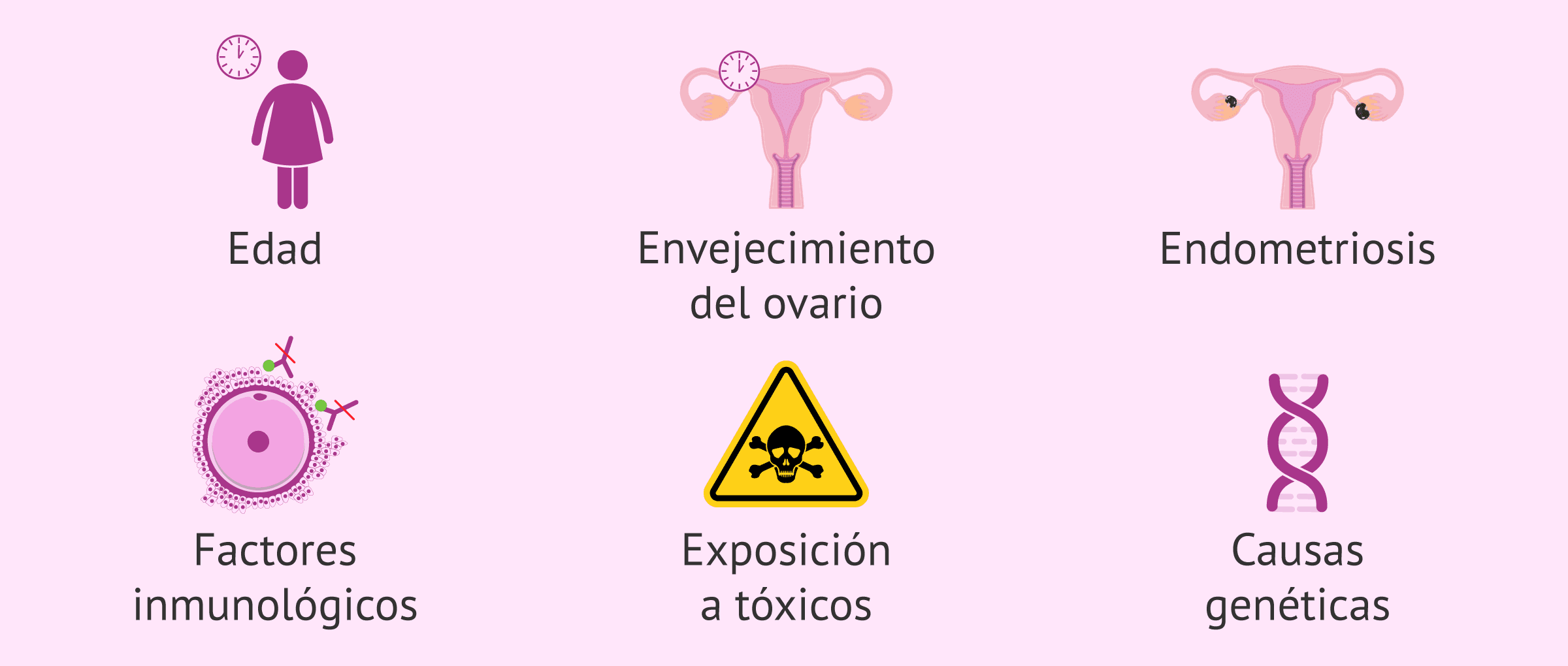 Imagen: Motivos de la baja respuesta de los ovarios a los fármacos