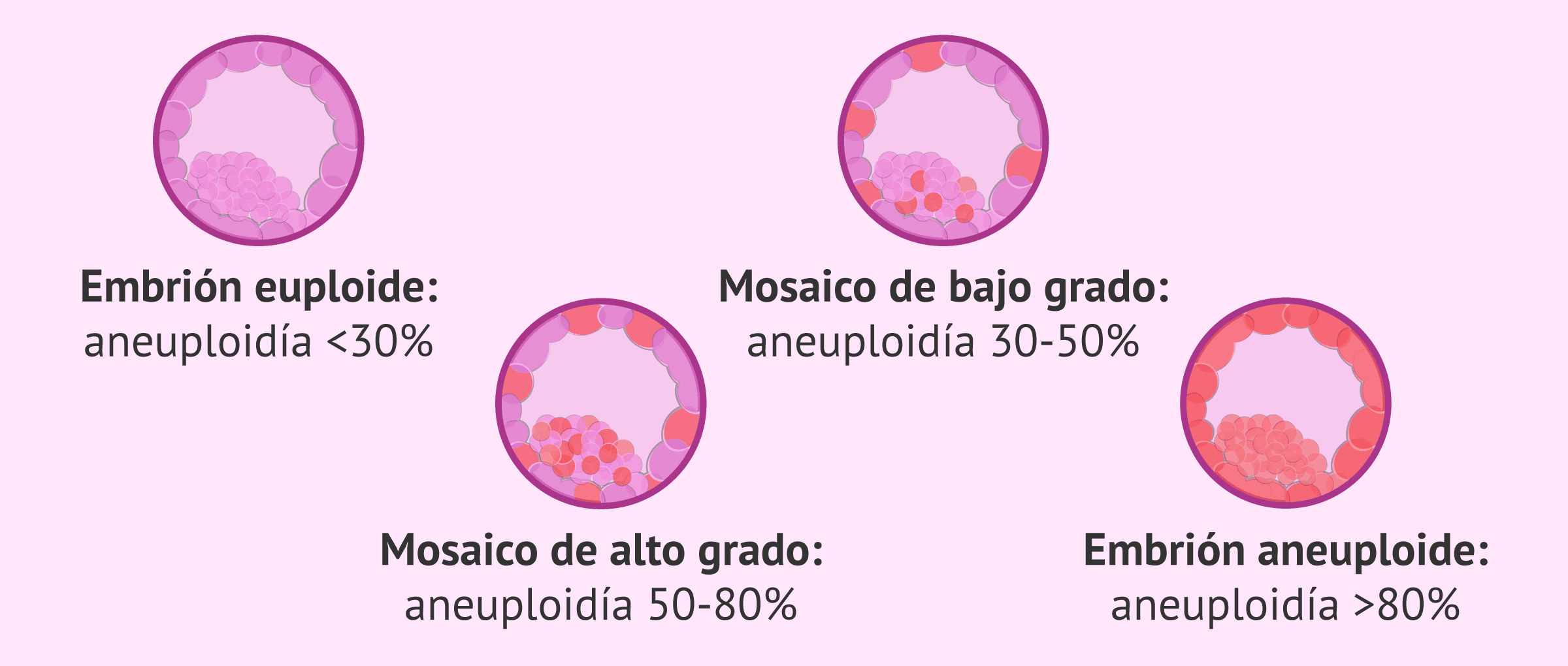 Imagen: Diferentes grados de mosaicismo
