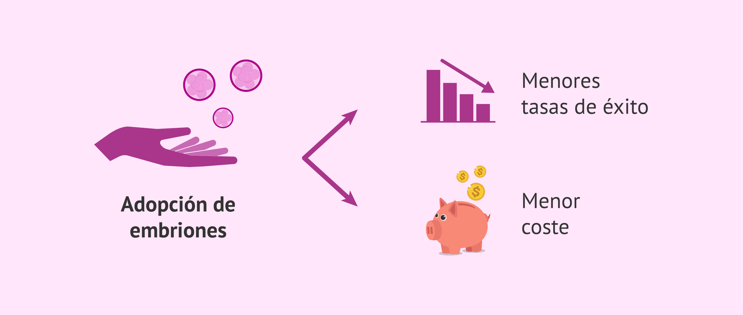 Imagen: Pros y contras de la adopción de embriones