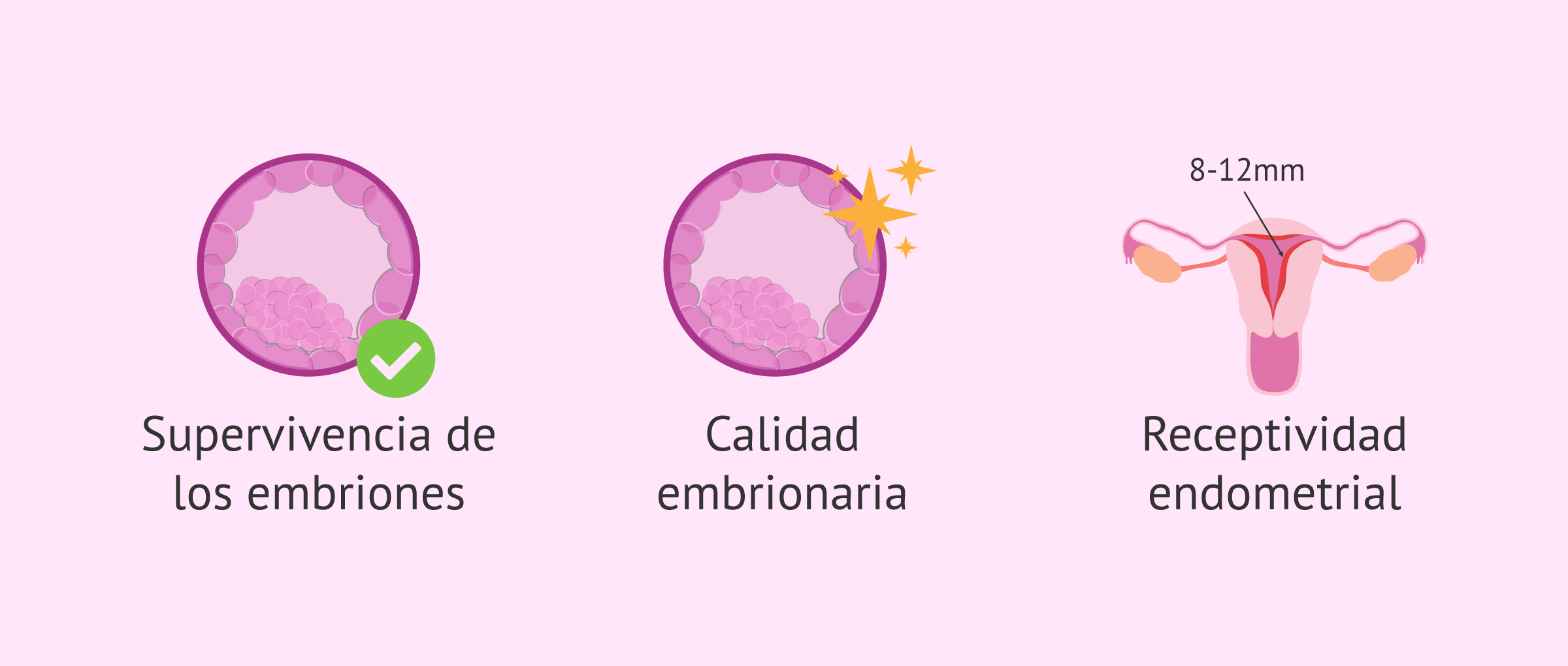 Imagen: Factores de éxito en la transferencia de embriones criopreservados