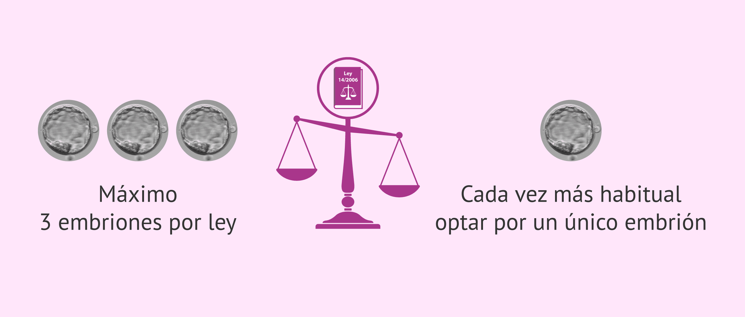 Imagen: ¿Transferir uno o varios embriones?