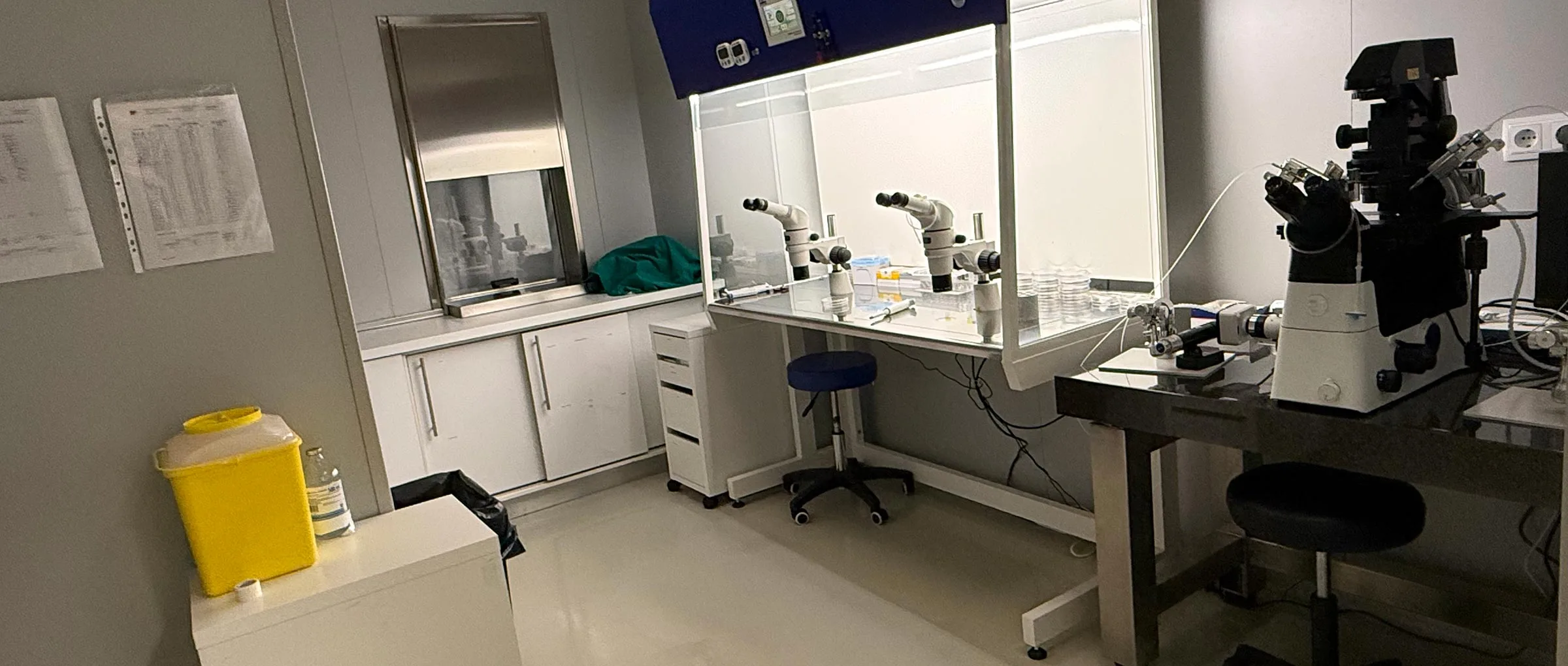 Laboratorio de embriología en AISH