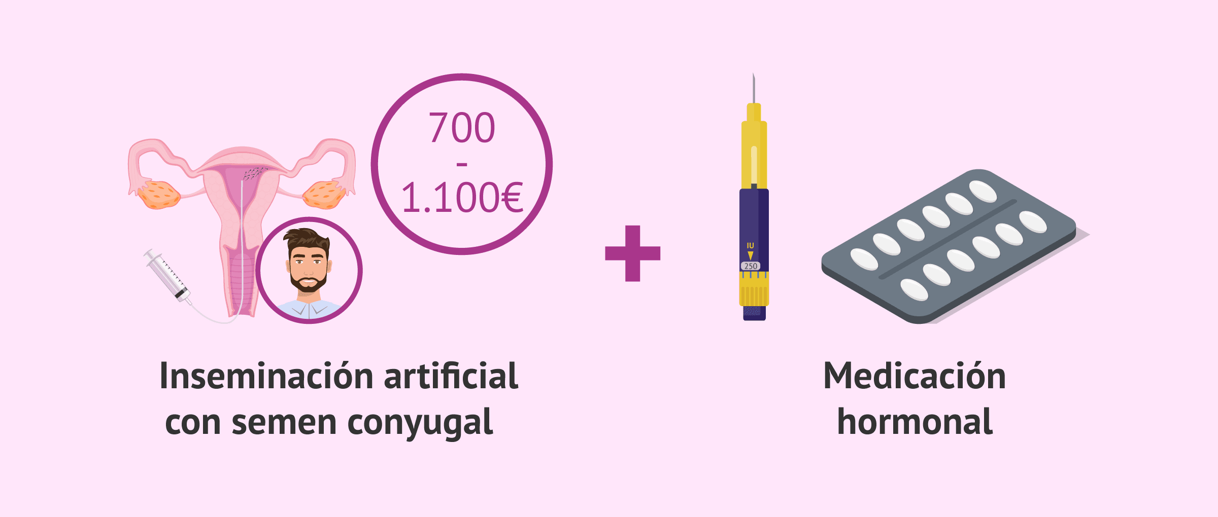 Imagen: Precio de la inseminación artificial con semen de la pareja