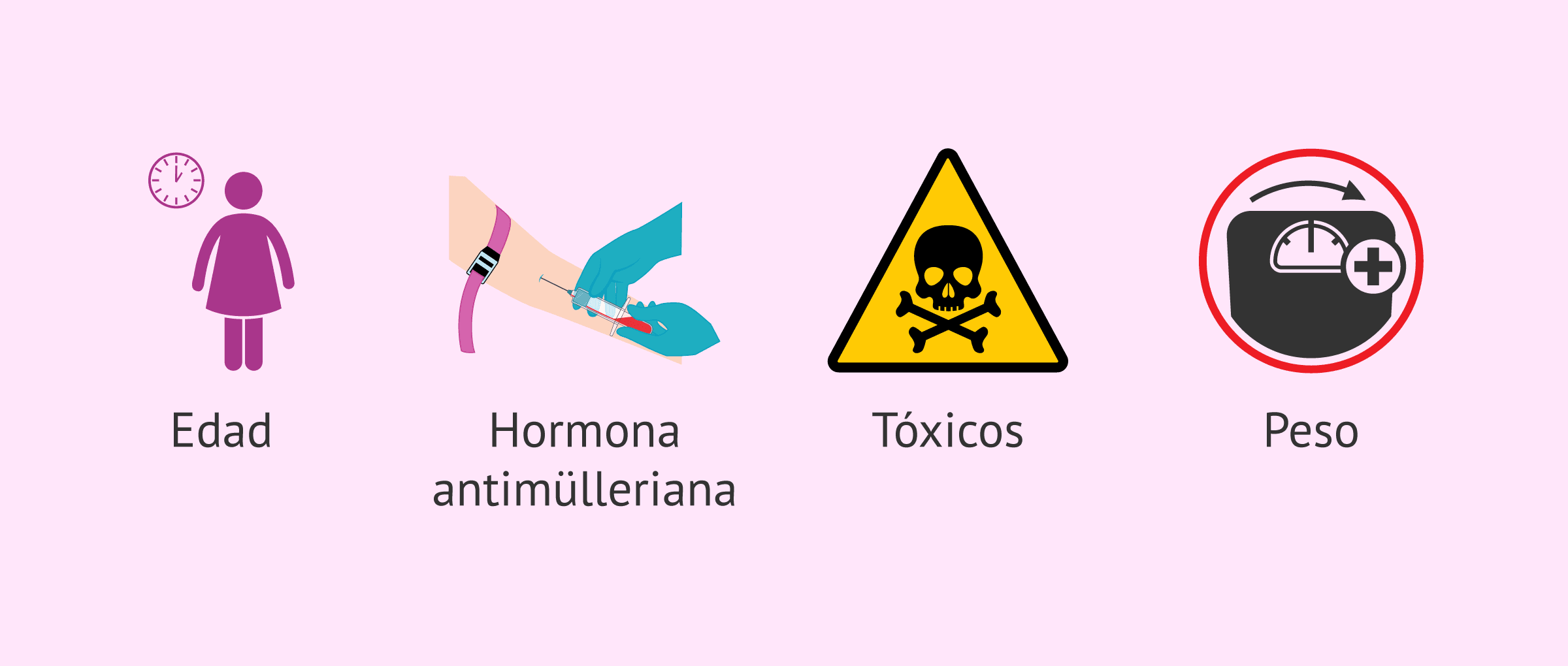 Imagen: Algunos factores que influyen en la ICSI