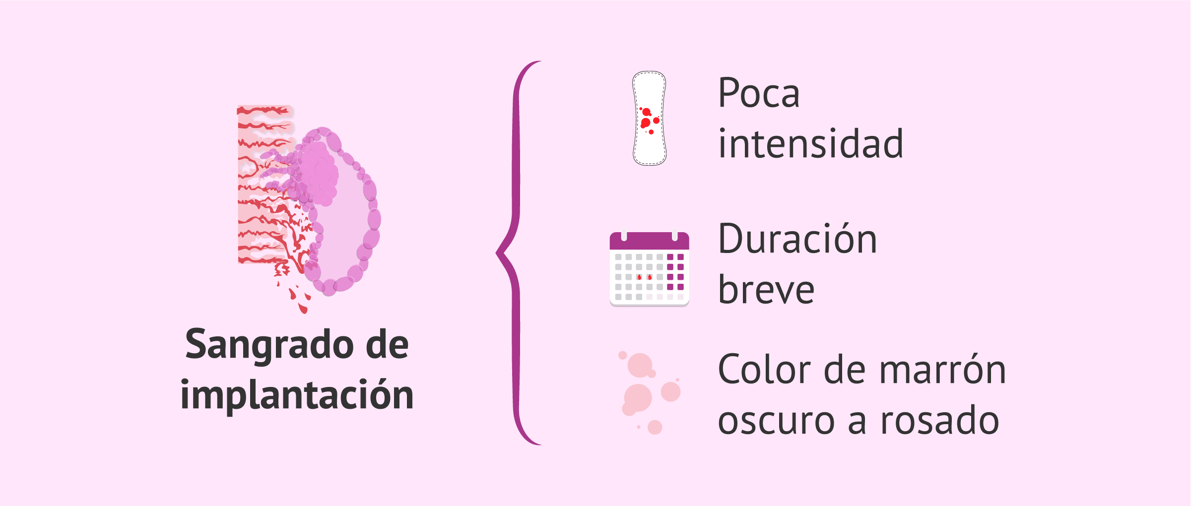 Imagen: Características del sangrado de implantación durante la betaespera