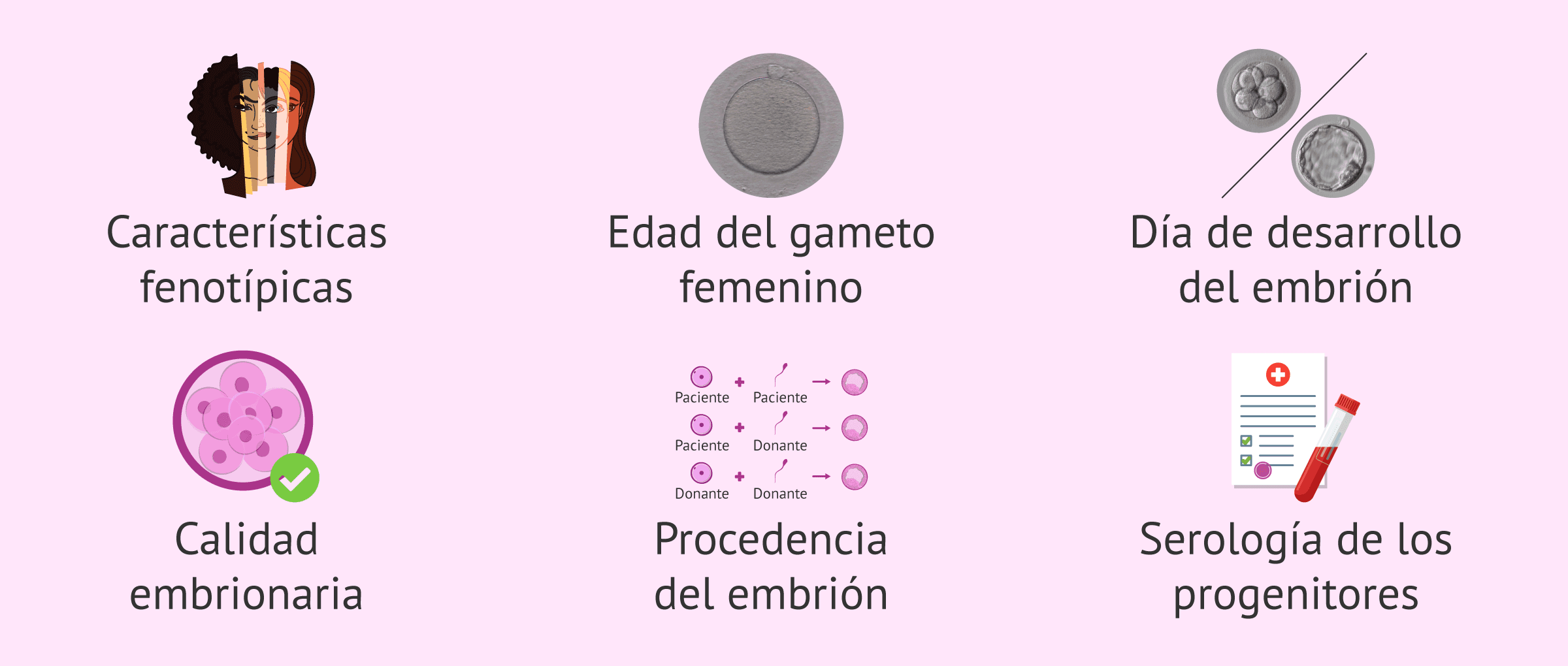 Imagen: Información sobre un embrión donado