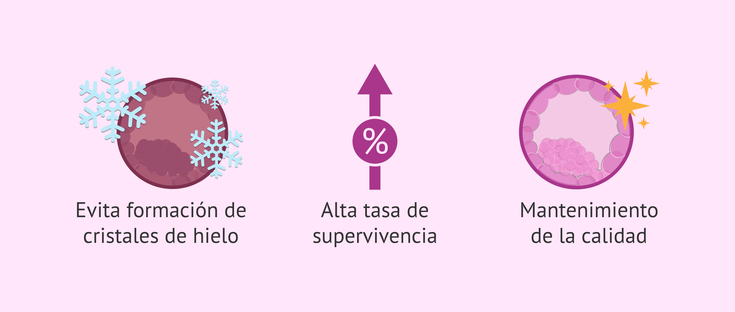 Imagen: Ventajas de la vitrificación de embriones