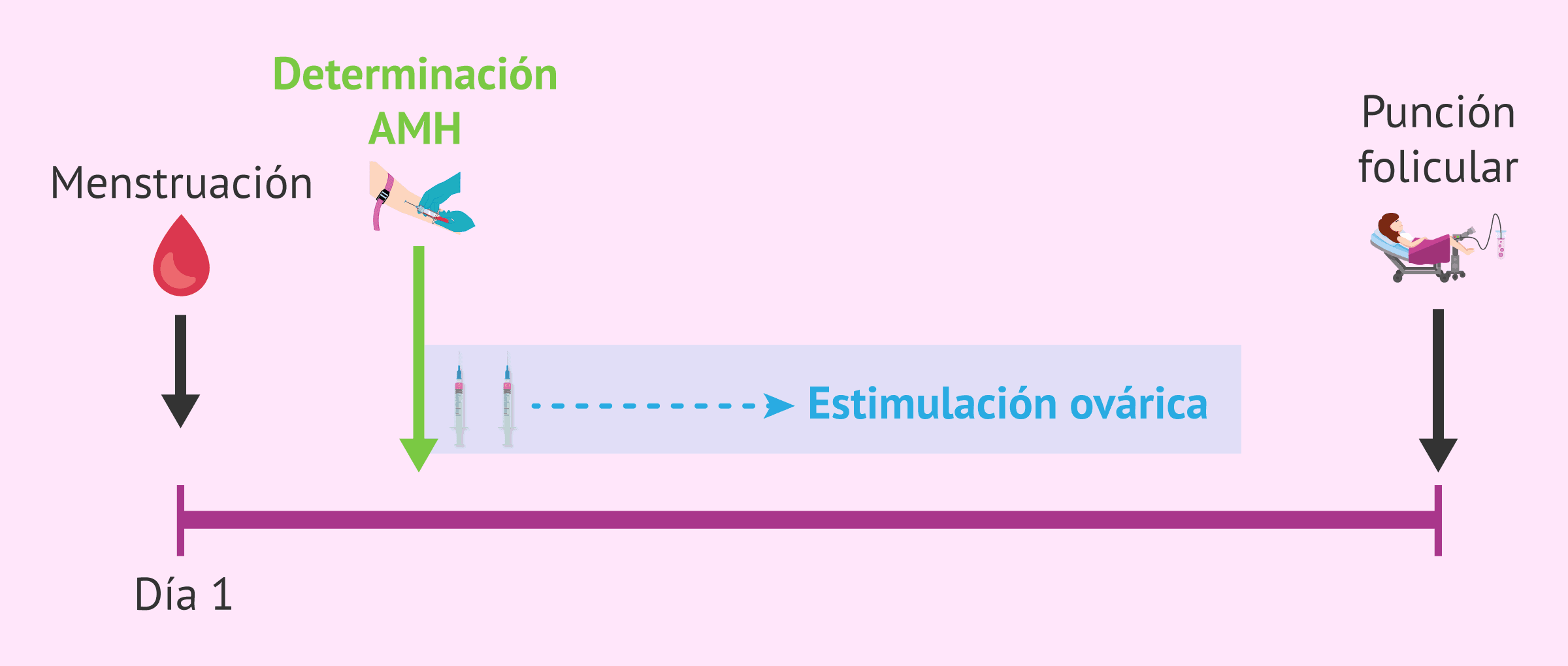 Imagen: ¿Cuándo hacer el análisis de AMH?