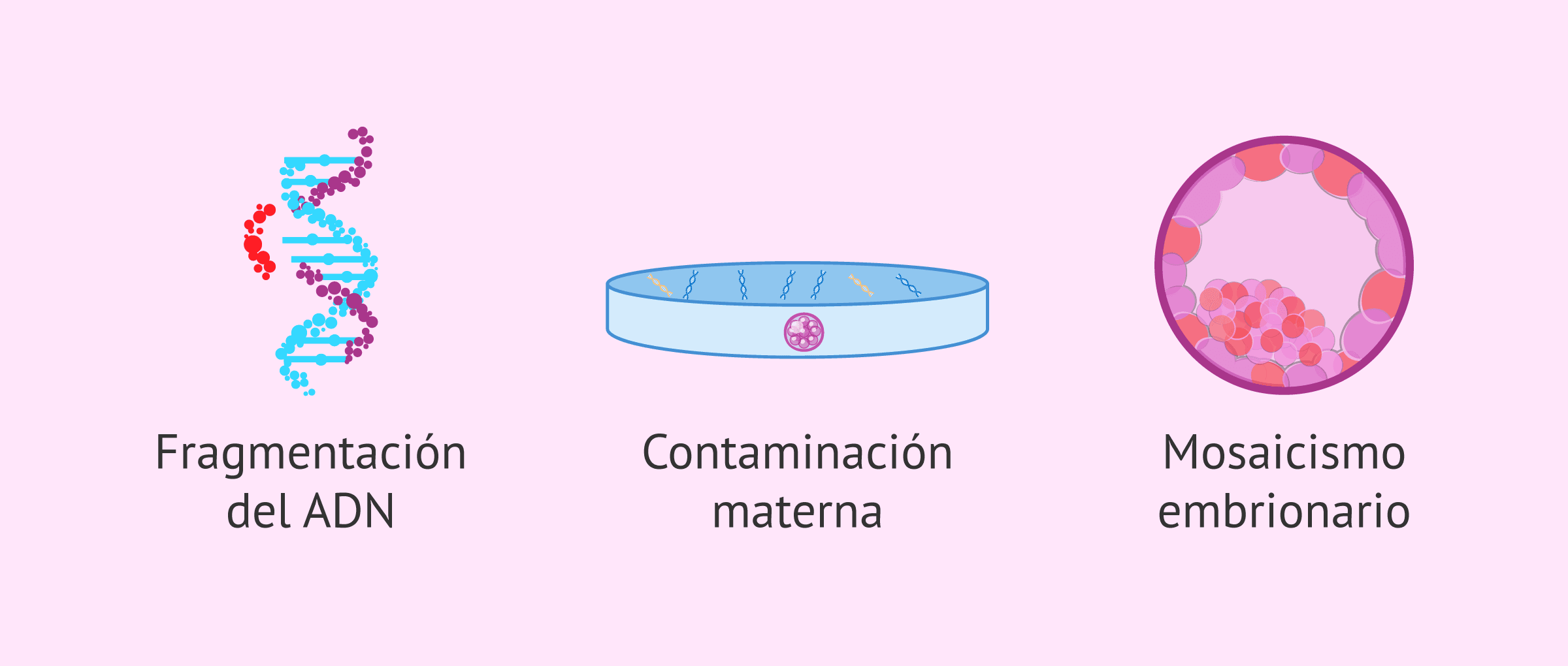 Imagen: Limitaciones del test genético preimplantacional no invasivo