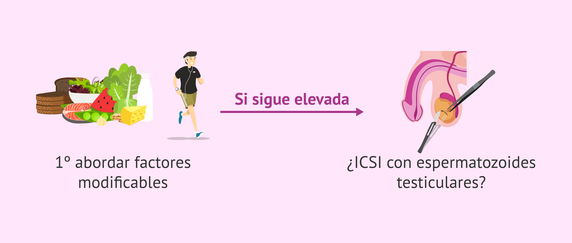 Imagen: Manejo de la fragmentación en el ADN espermático
