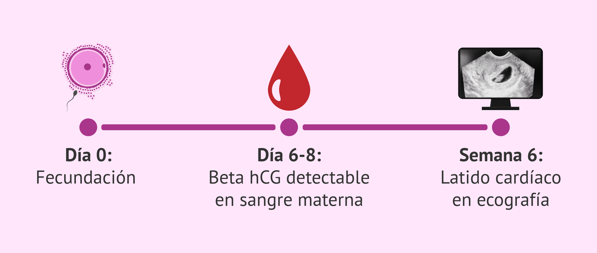 El increíble dato de la beta hCG que define el éxito del embarazo