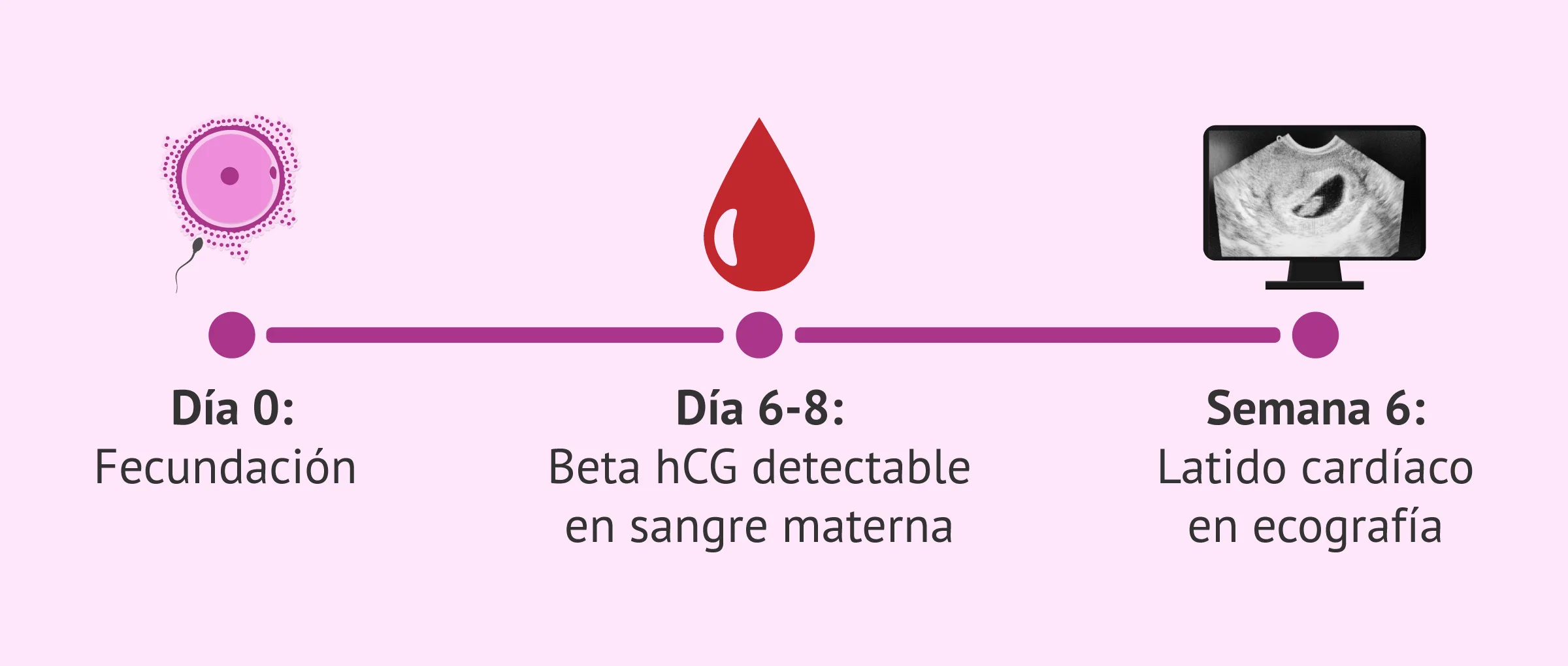 El increíble dato de la beta hCG que define el éxito del embarazo